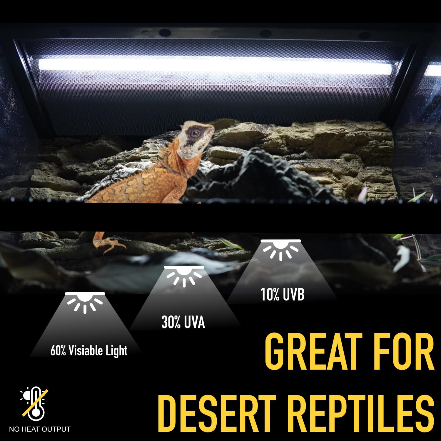 ReptiKing T5 UVB 24W 22-inch tube in-use in indoor desert reptile enclosure.