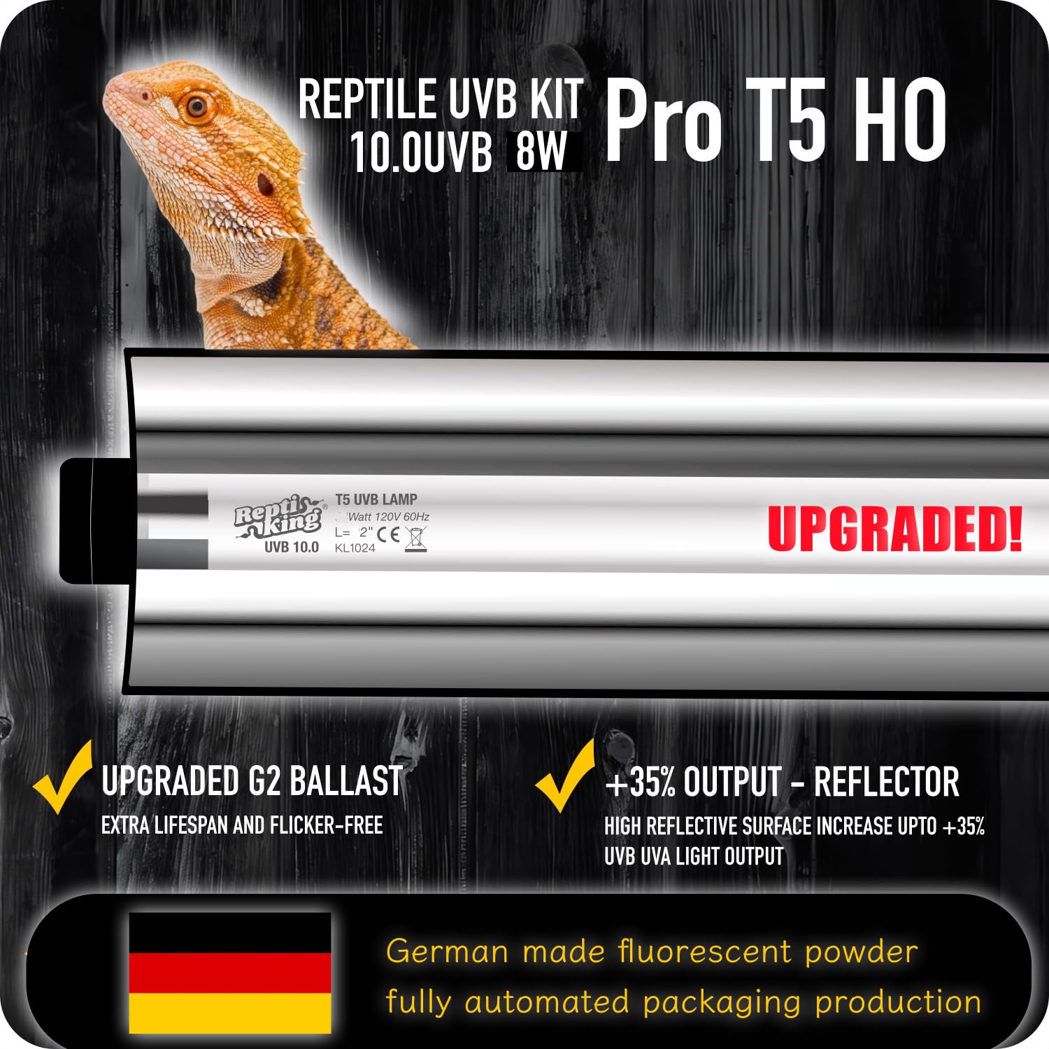 Uromastyx UVB lighting from ReptiKing supports natural basking