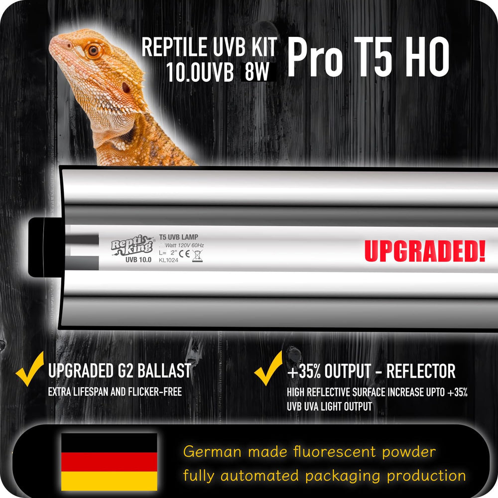 Uromastyx UVB lighting from ReptiKing supports natural basking