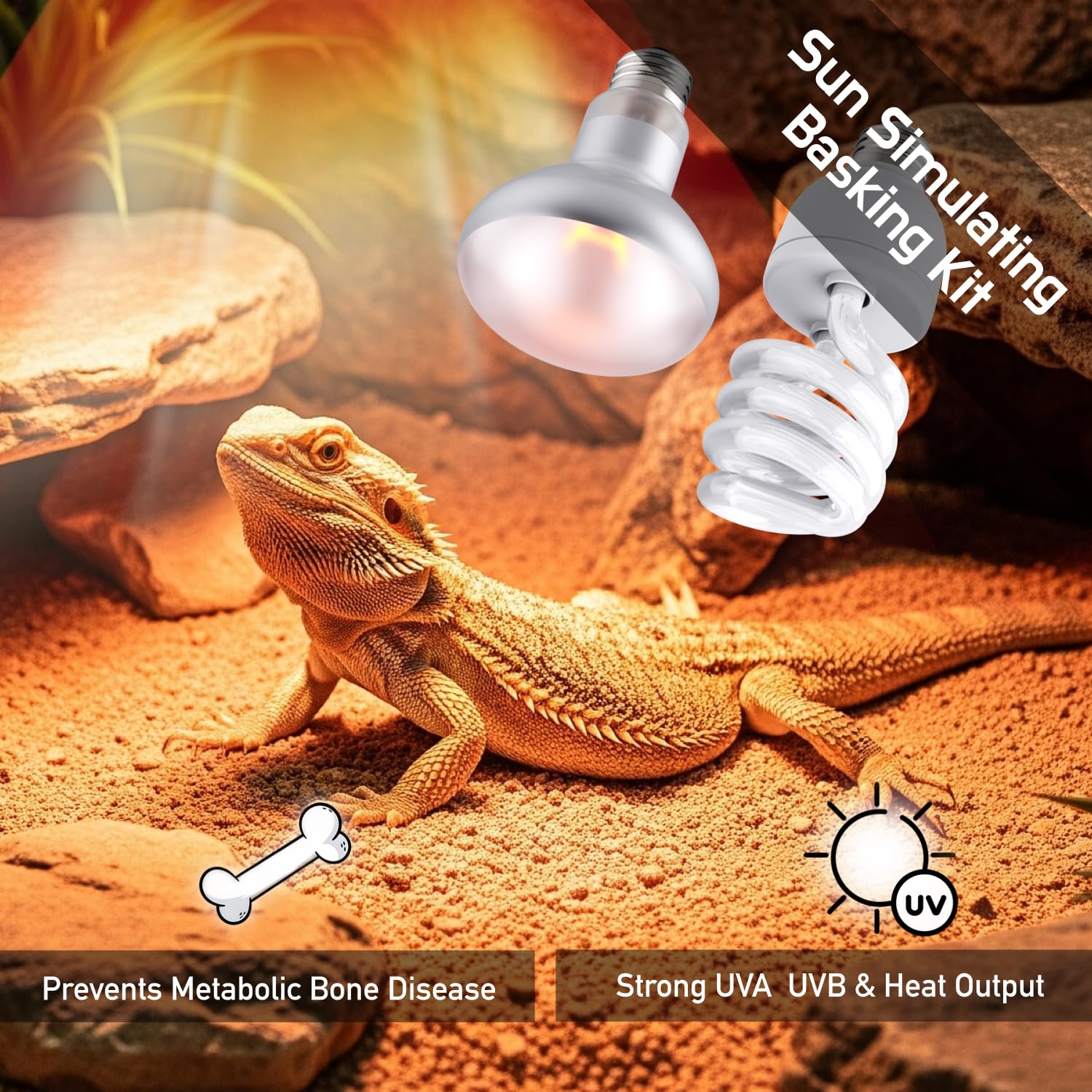 ReptiKing uvb-bulb-usage demonstrates sunlight simulation for daily activity.