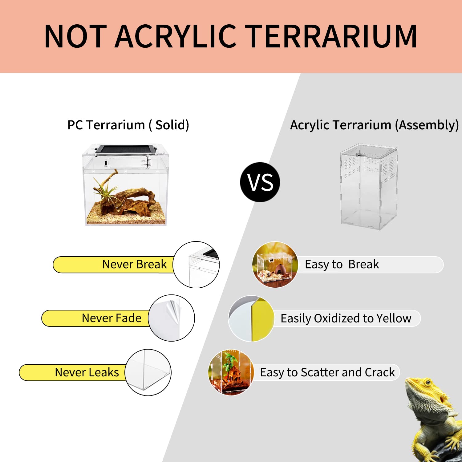 Reptile Growth mini terrarium crystal-clear PC base for durability and clarity