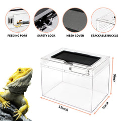 Reptile Growth Mini Terrarium feeding port simplifies daily feeding