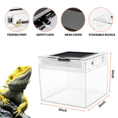 Reptile Growth mini terrarium feeding-port enables easy, mess-free feeding