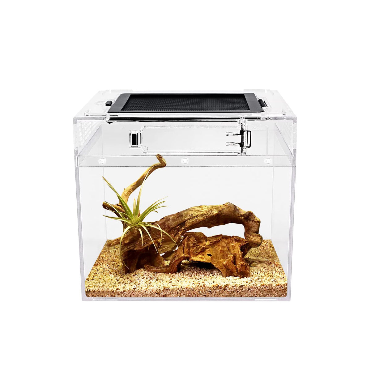 Reptile Growth mini terrarium full-view offers bright unobstructed observation of pets