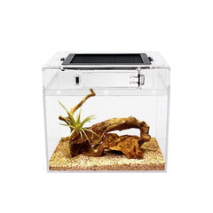 Reptile Growth mini terrarium full-view offers bright unobstructed observation of pets