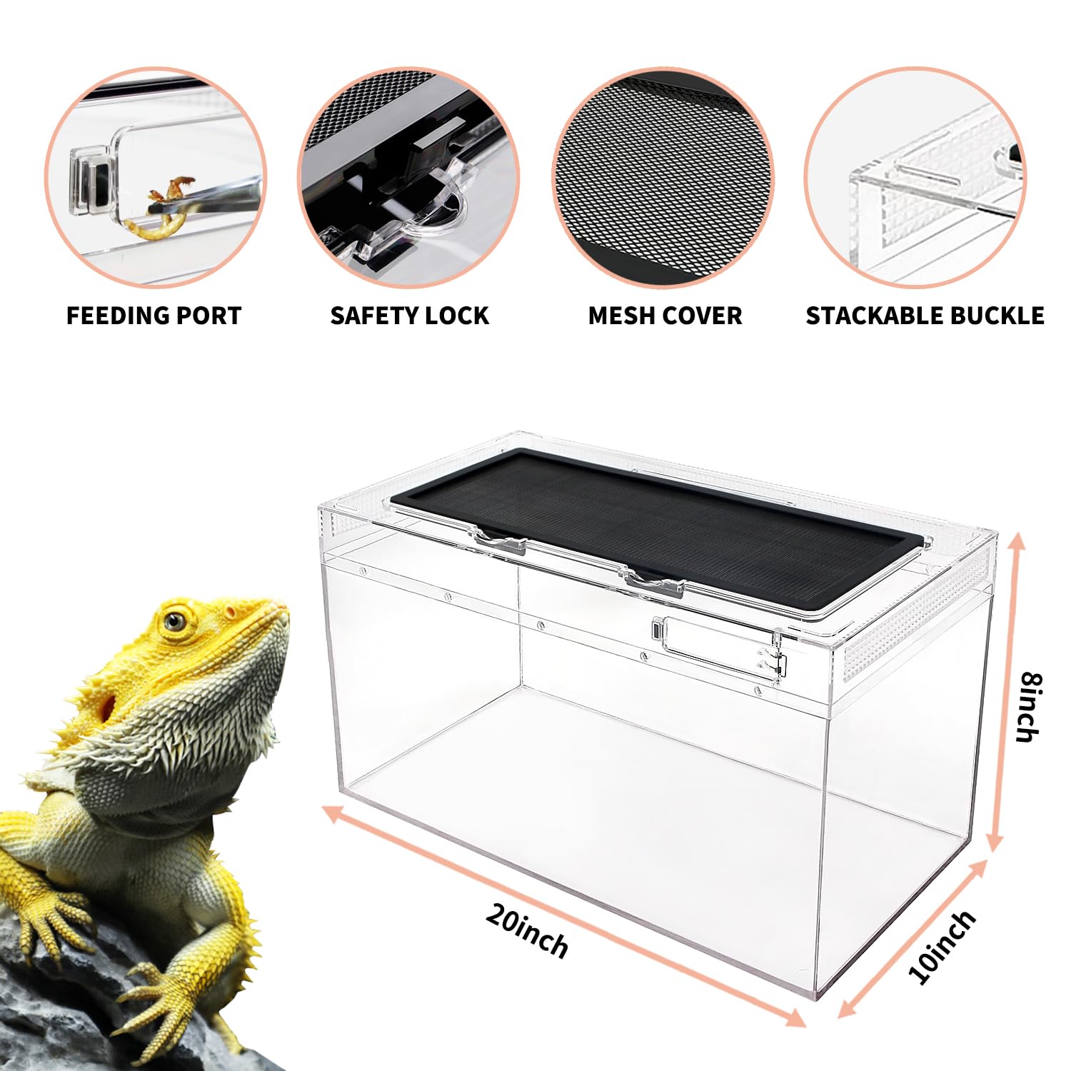 Reptile Growth Reptile PC Terrarium Set, clear crystal view, explosion-proof and durable.