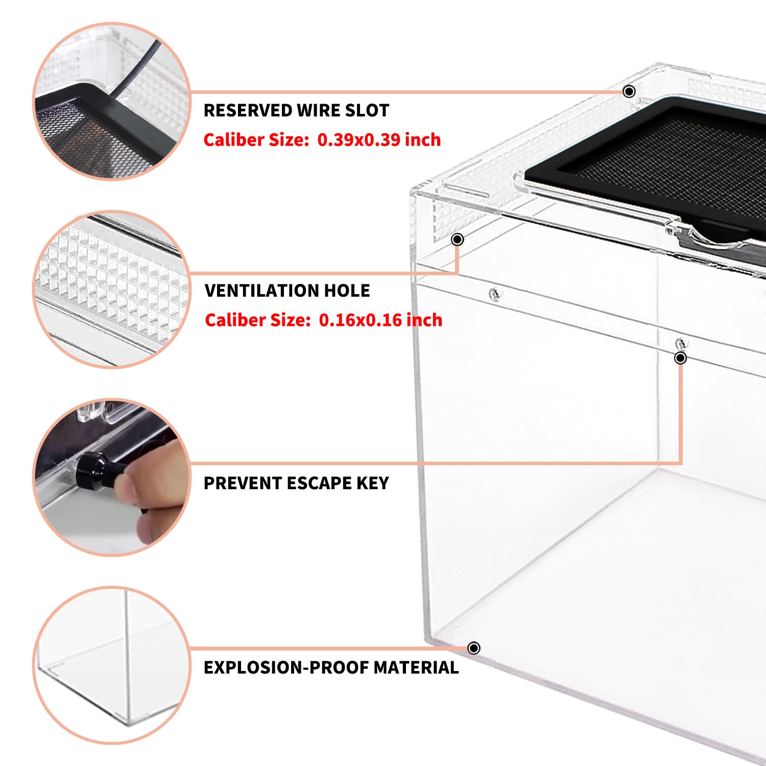 Reptile Growth Reptile PC Terrarium Set, feeding port for easy feeding and maintenance.