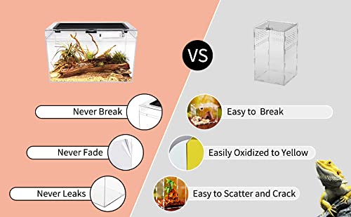 Reptile Growth Terrarium 360-view for easy pet observation.