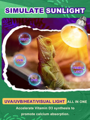 Reptispa full-spectrum UVA UVB light enhances visibility and natural activity in terrariums.