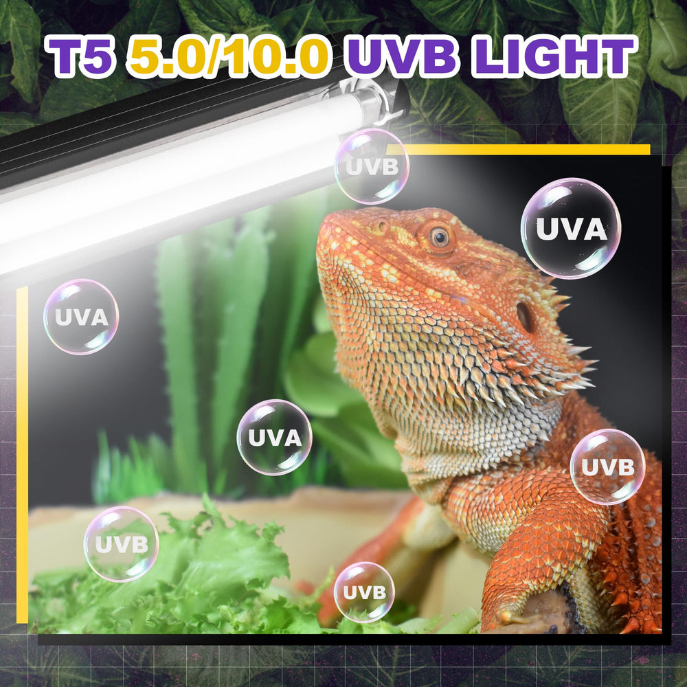 Reptispa T5 HO UVB kit in-tank installation demonstrates easy mounting