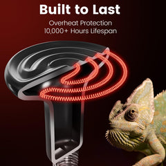 REPTITRIP 100W daytime heat lamp ready for terrarium warmth.