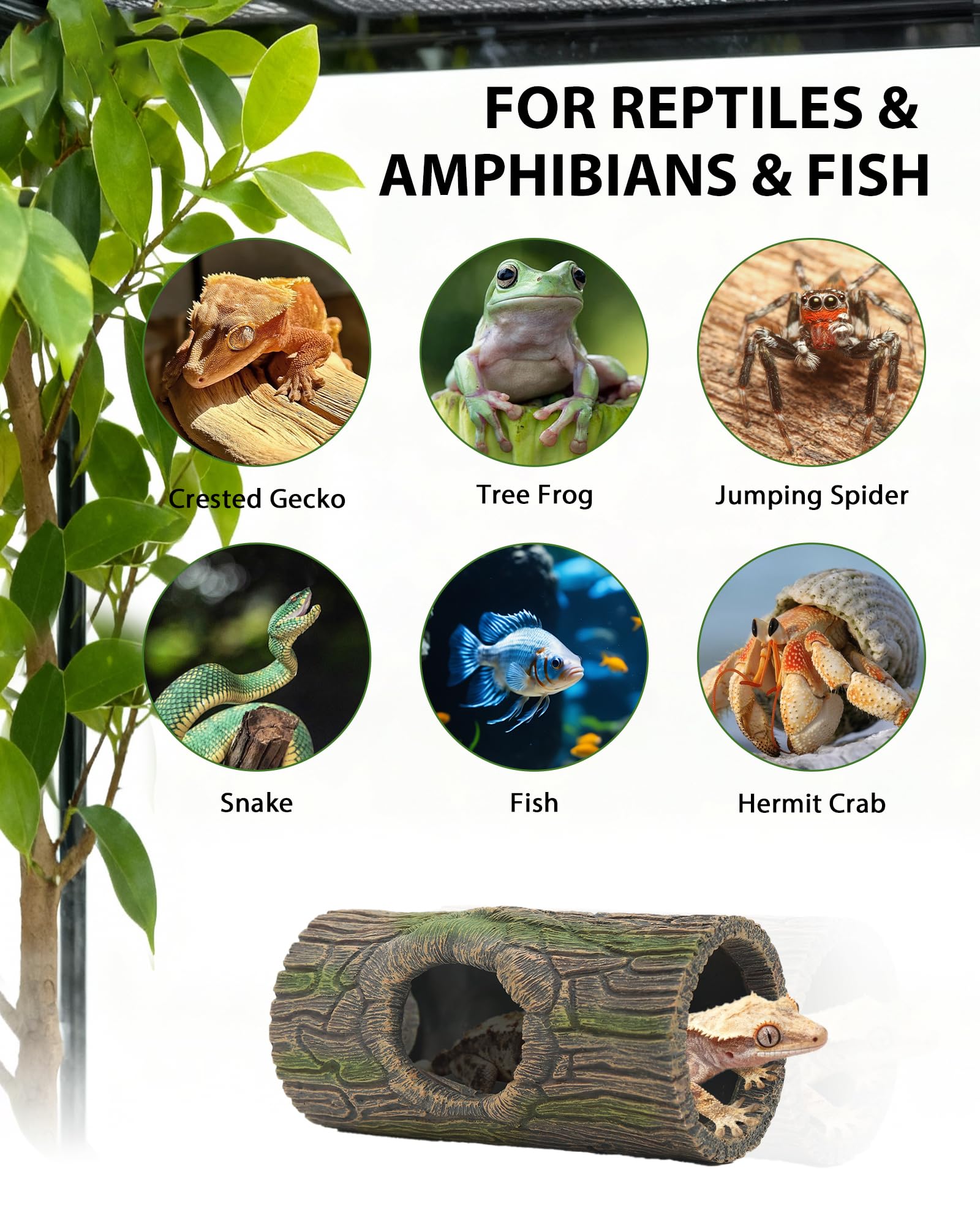 REPTITRIP amphibian hide log offers secure shelter in planted tanks.