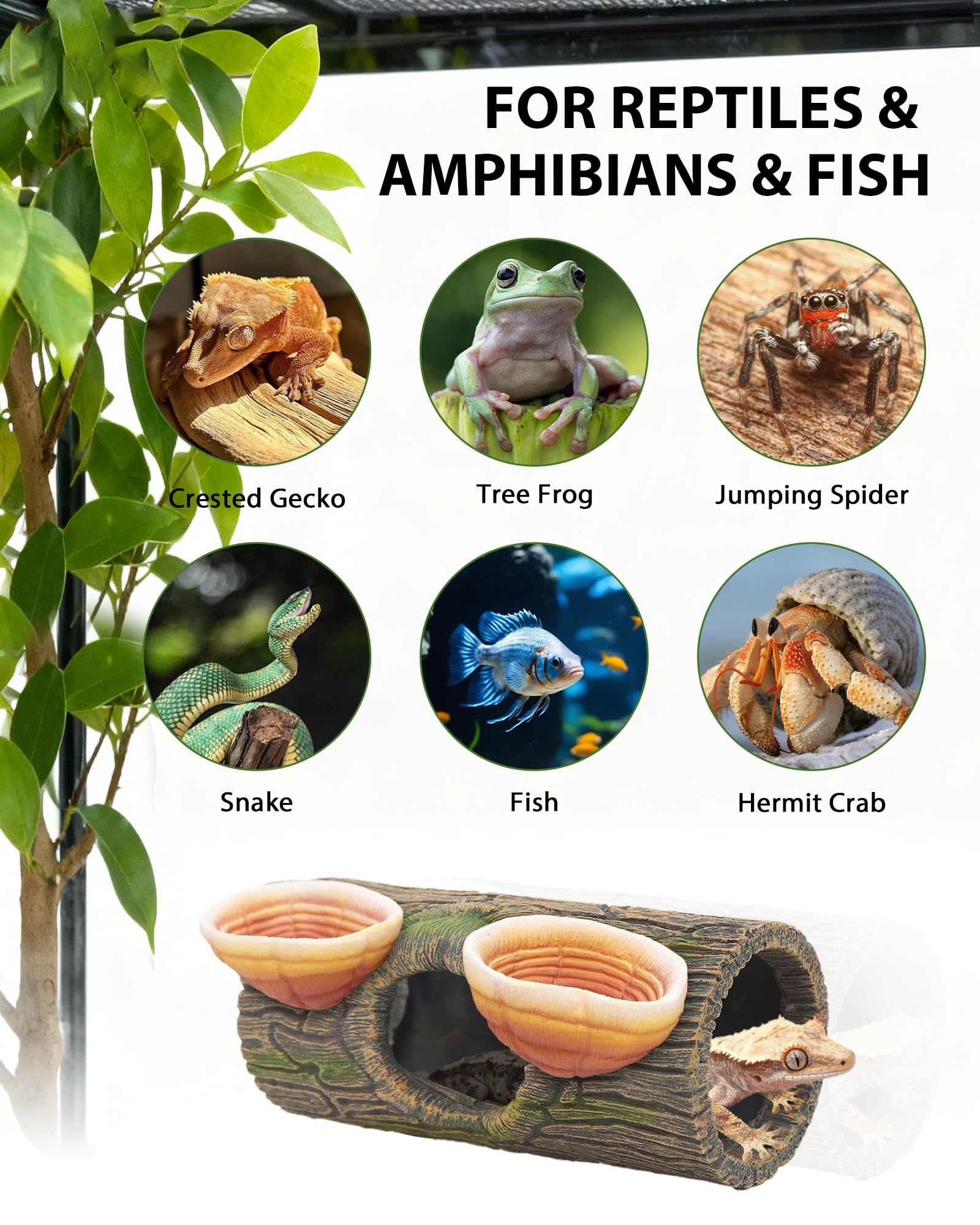 REPTITRIP versatile habitat angled shot for arboreal reptiles and amphibians.