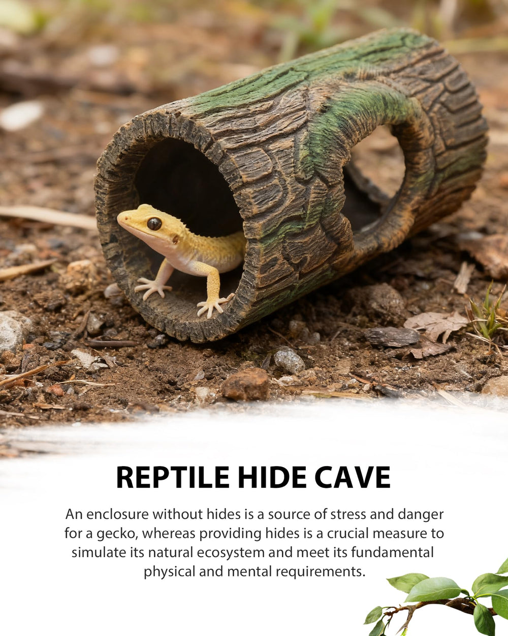 REPTITRIP hollow log den interior view reveals secure hiding space.