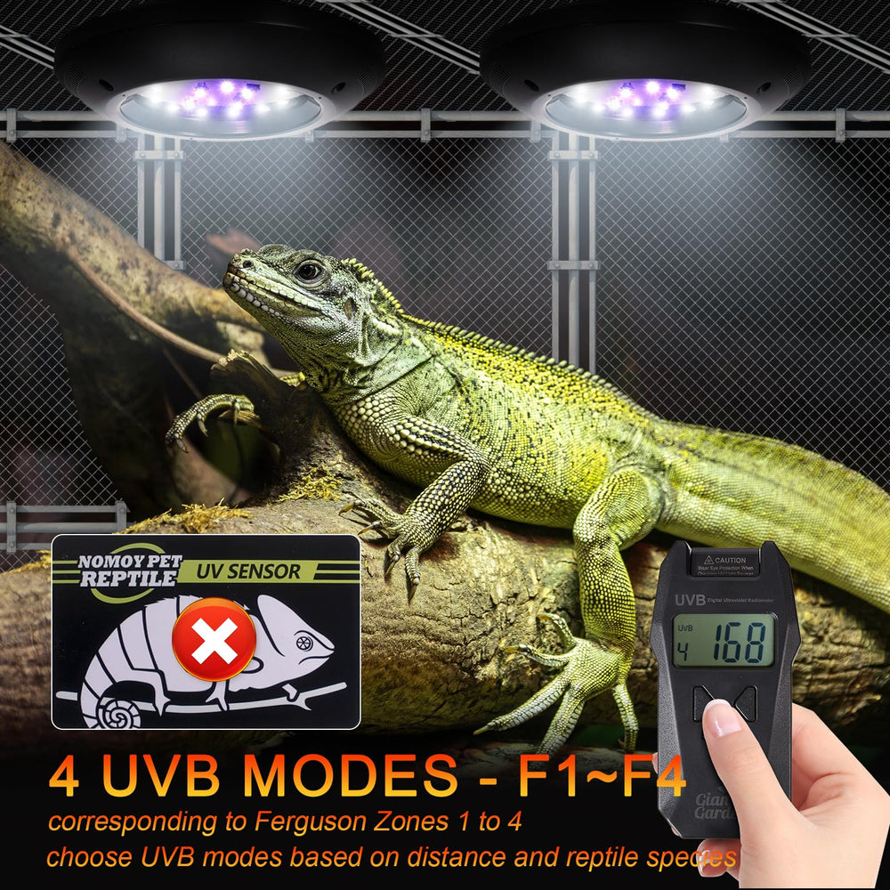 REPTITRIP LED UVB lamp with twelve LED beads delivers steady illumination.
