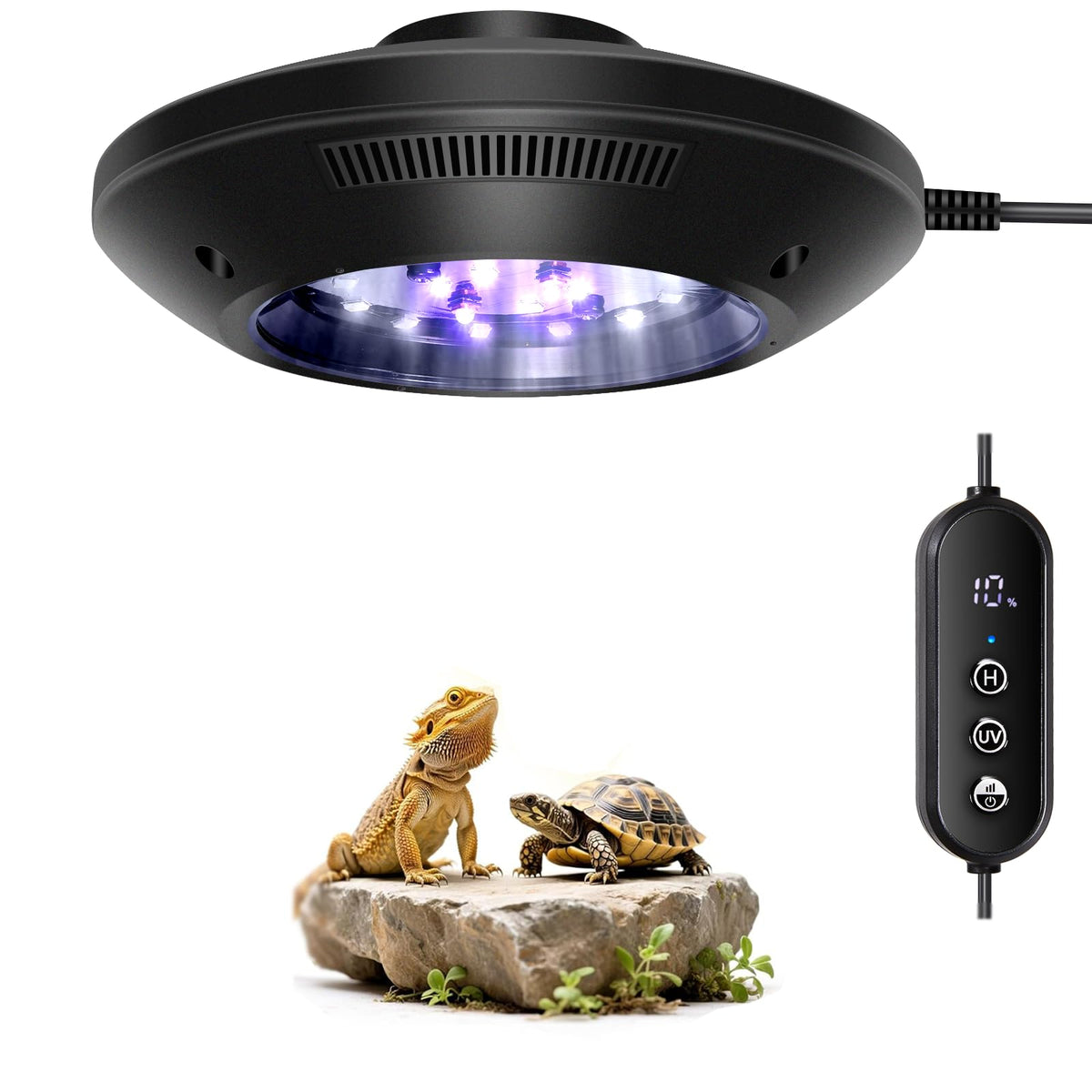 REPTITRIP LED UVB light with timer switch for stable day-night cycle in a reptile enclosure.