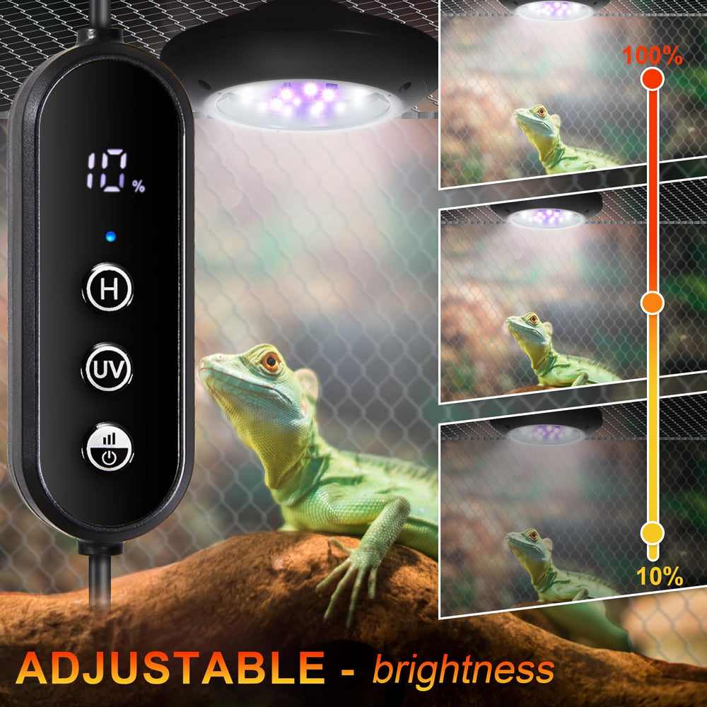 REPTITRIP UVB light with Ferguson zones F1-F4 for species-specific exposure.