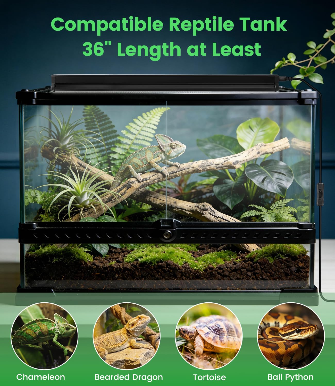 REPTITRIP durable LED ensures long-lasting reptile lighting.