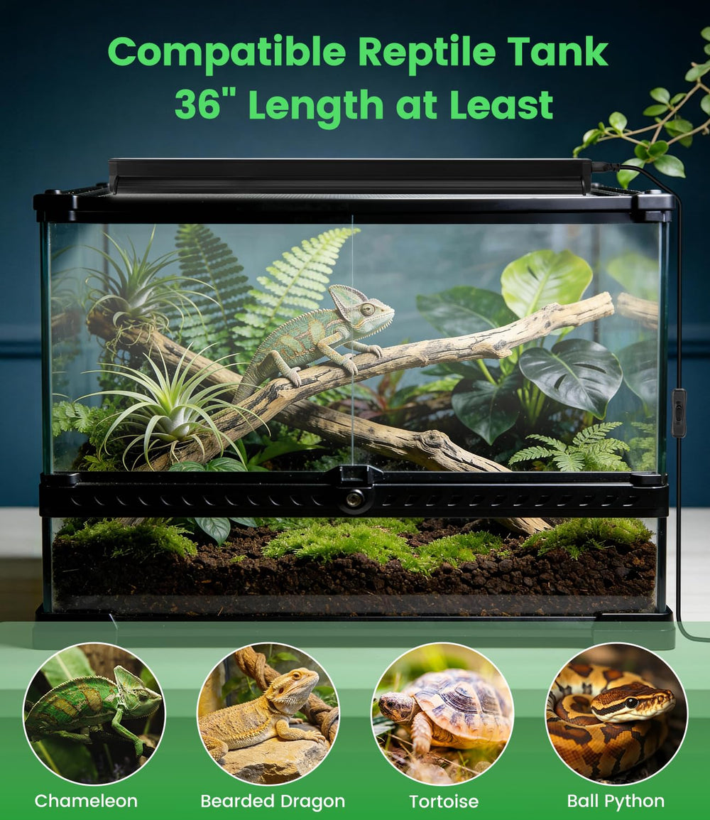 REPTITRIP durable LED ensures long-lasting reptile lighting.