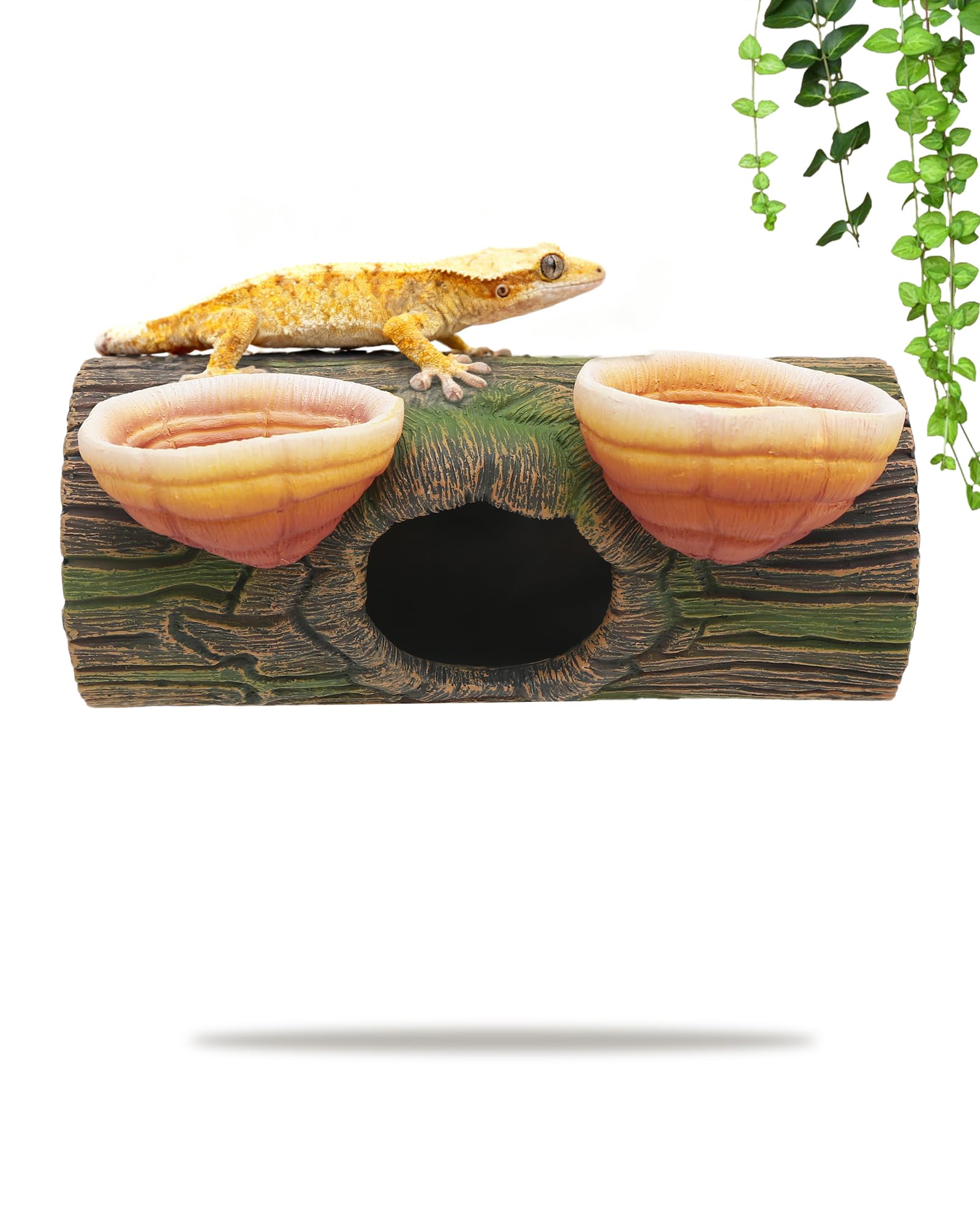 REPTITRIP adaptable decor full setup demonstrates compatibility with aquatic tanks.