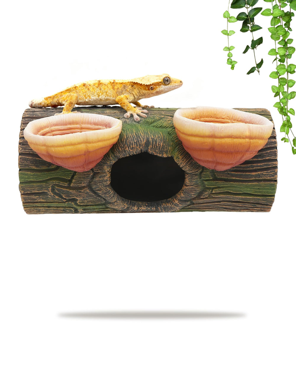 REPTITRIP adaptable decor full setup demonstrates compatibility with aquatic tanks.