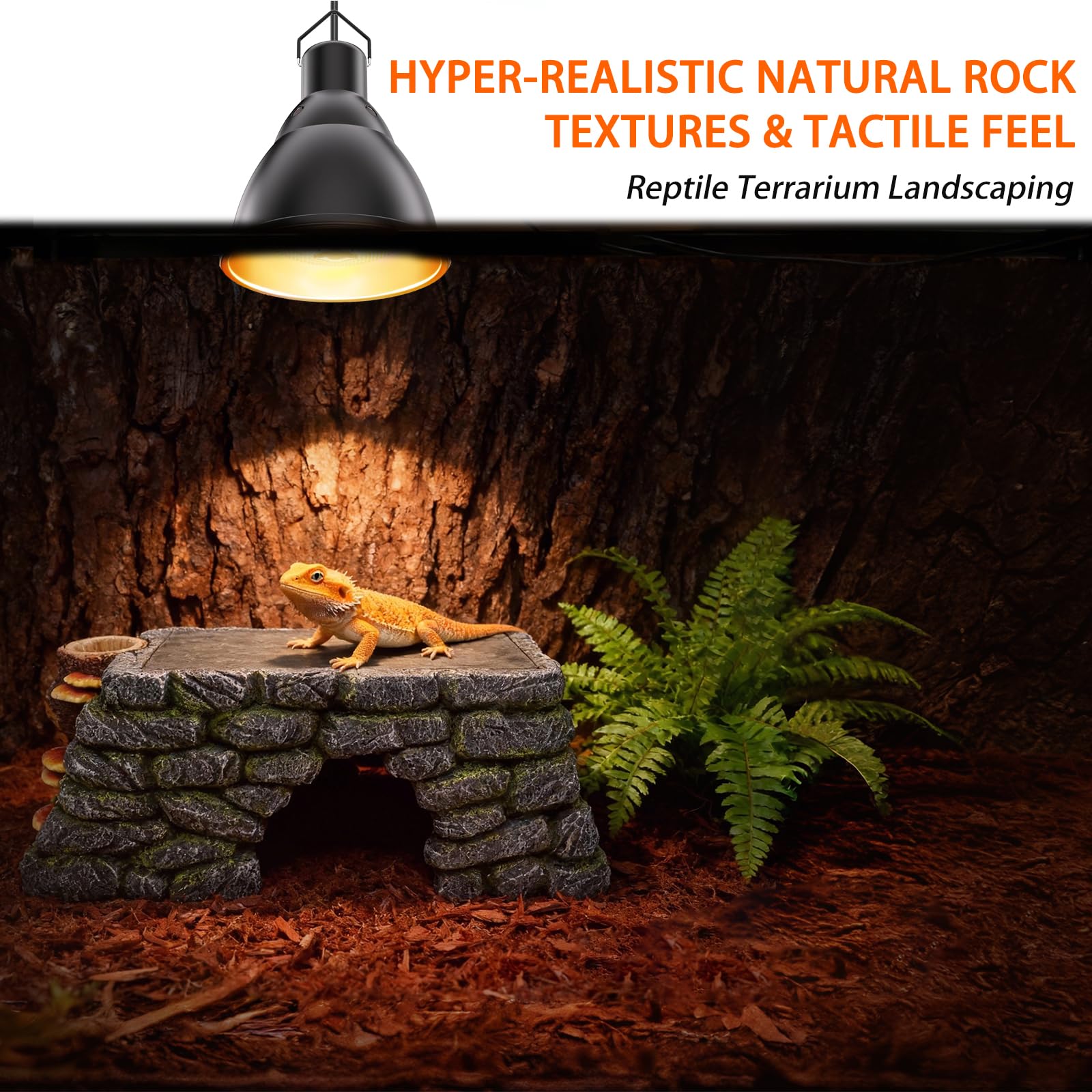 REPTITRIP full setup optimizes space and supports natural behaviors