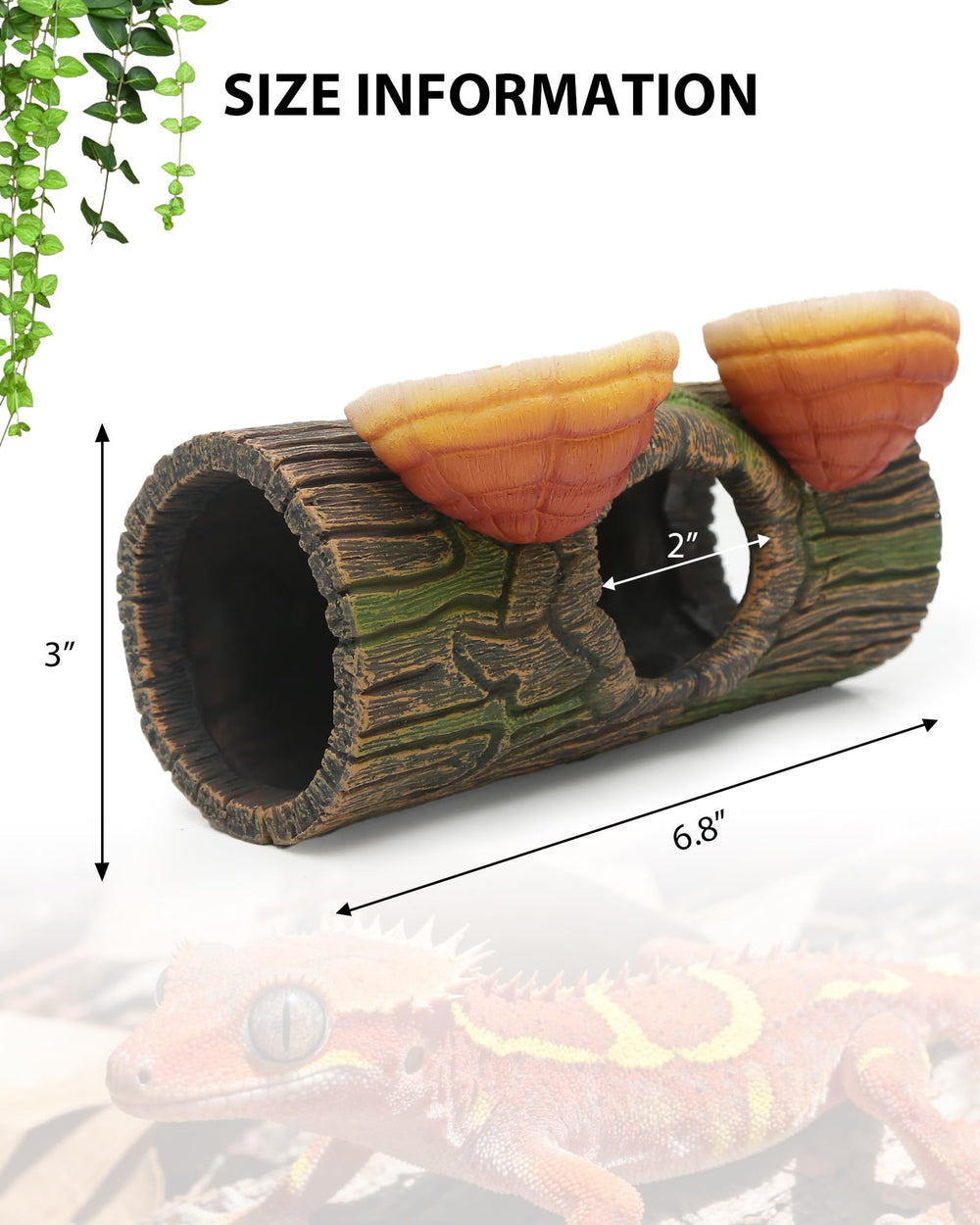 REPTITRIP tree-hole decor top-down view blends with planted tanks.