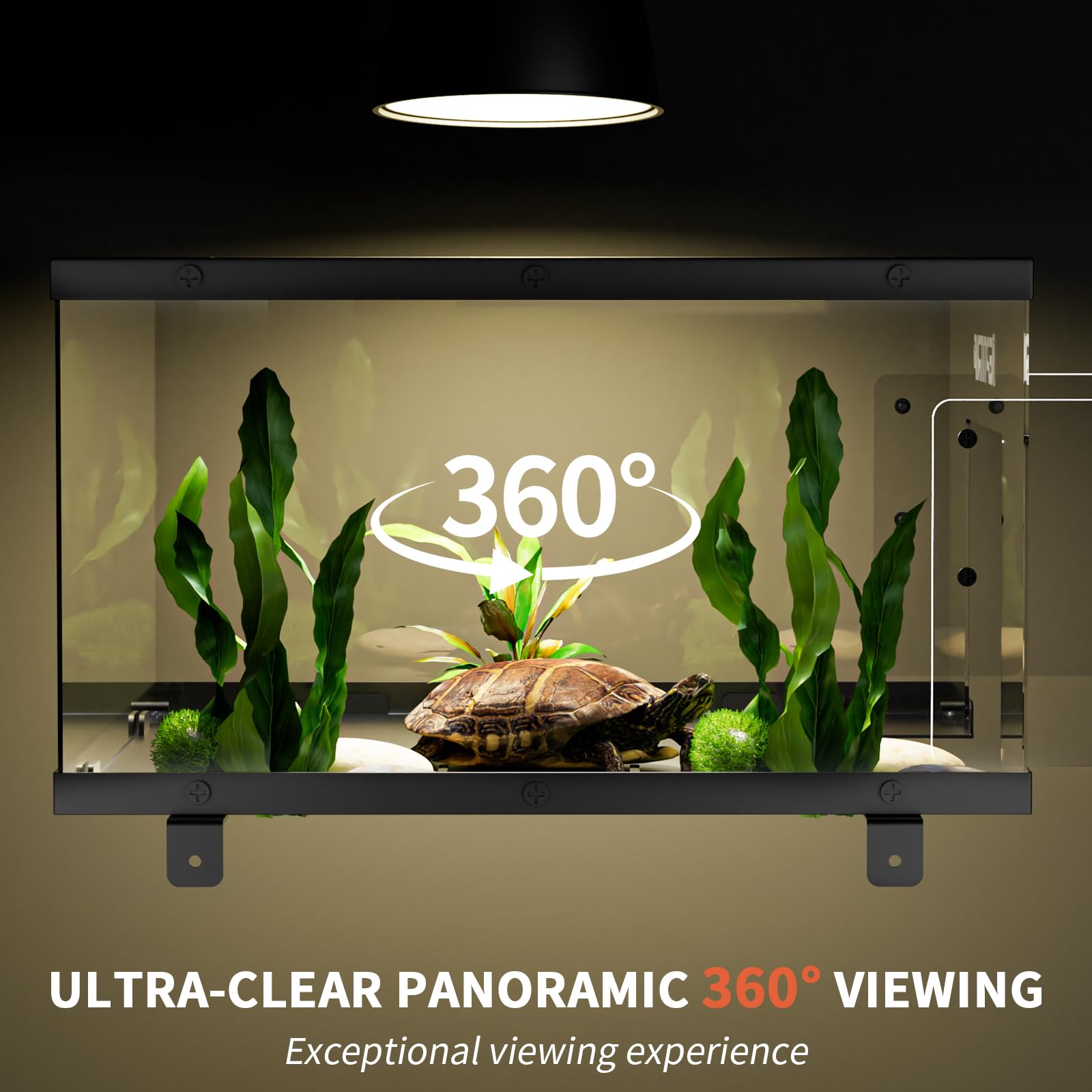 REPTITRIP Expanded space for more basking and activity viewing