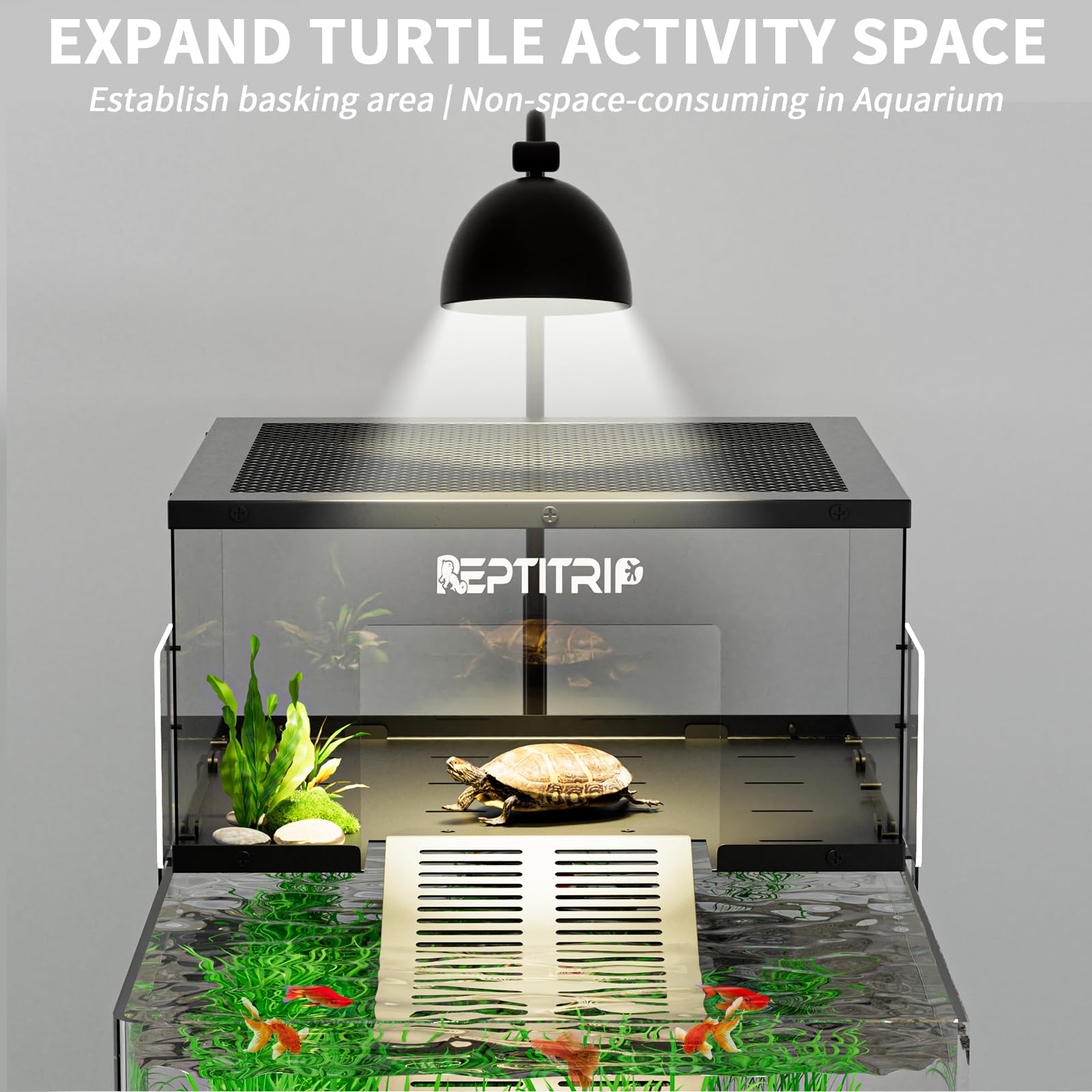 REPTITRIP Polycarbonate basking surface lets light through for clear viewing