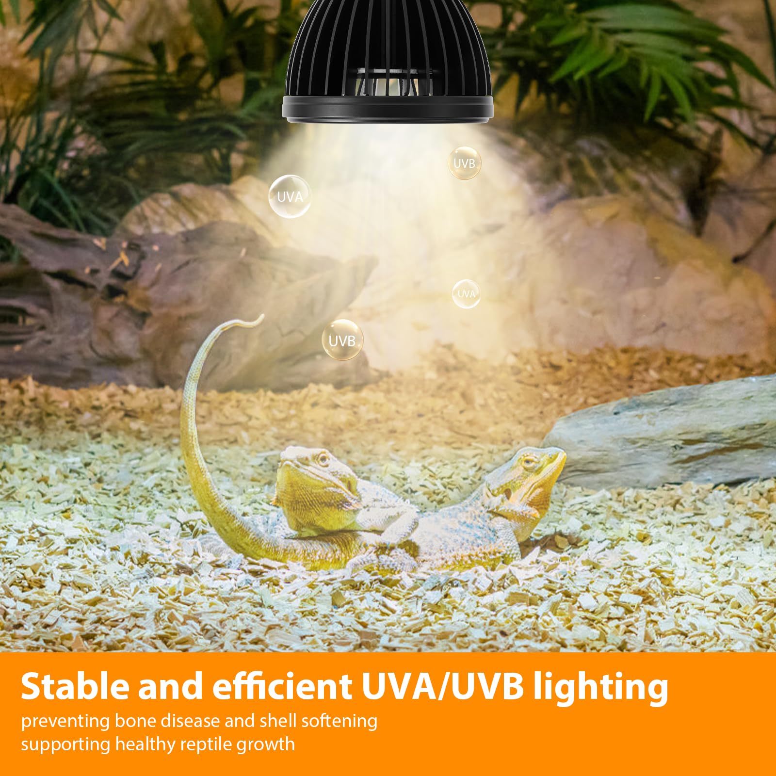 REPTITRIP UVB Light paired with a heat lamp for additional warmth and UV exposure