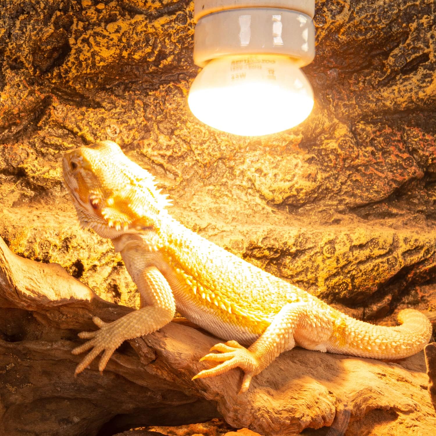 REPTI ZOO chameleon daylight lamp for balanced basking.