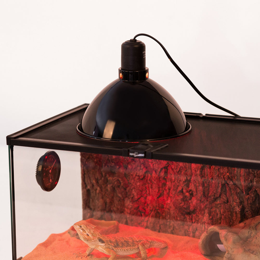 REPTI ZOO compatible with #60 and #90 terrariums for flexible setups.