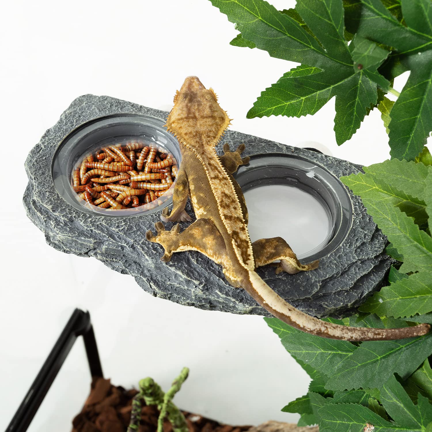 Easy-clean design of the REPTIZOO magnetic feeder ledge