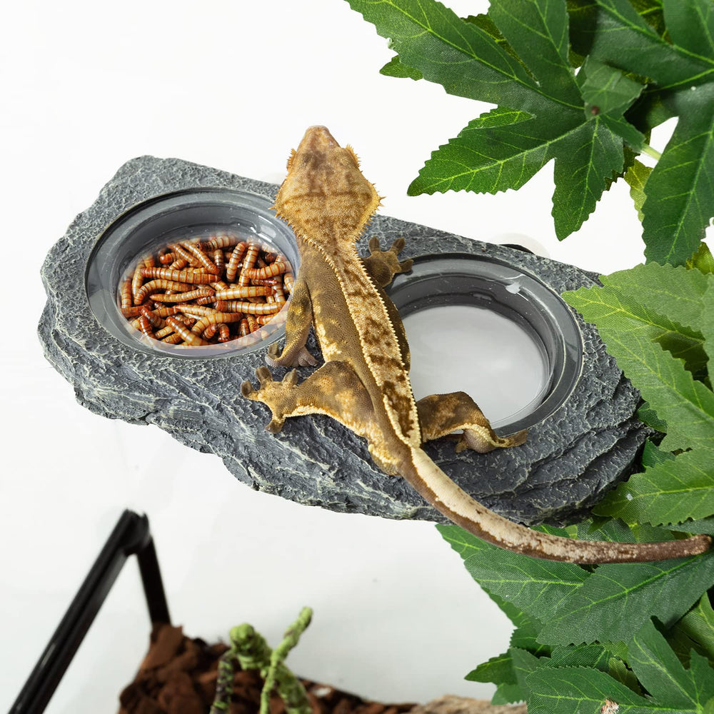 Easy-clean design of the REPTIZOO magnetic feeder ledge