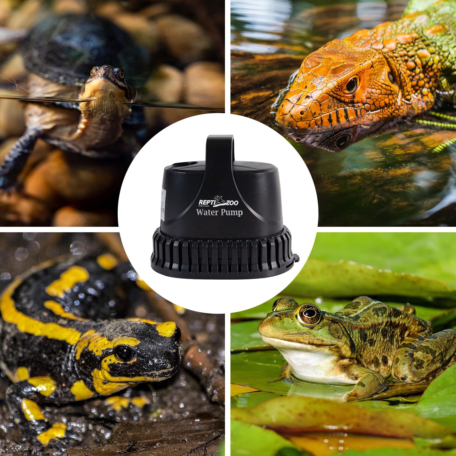 REPTIZOO Energy-saving design reduces running costs during changes