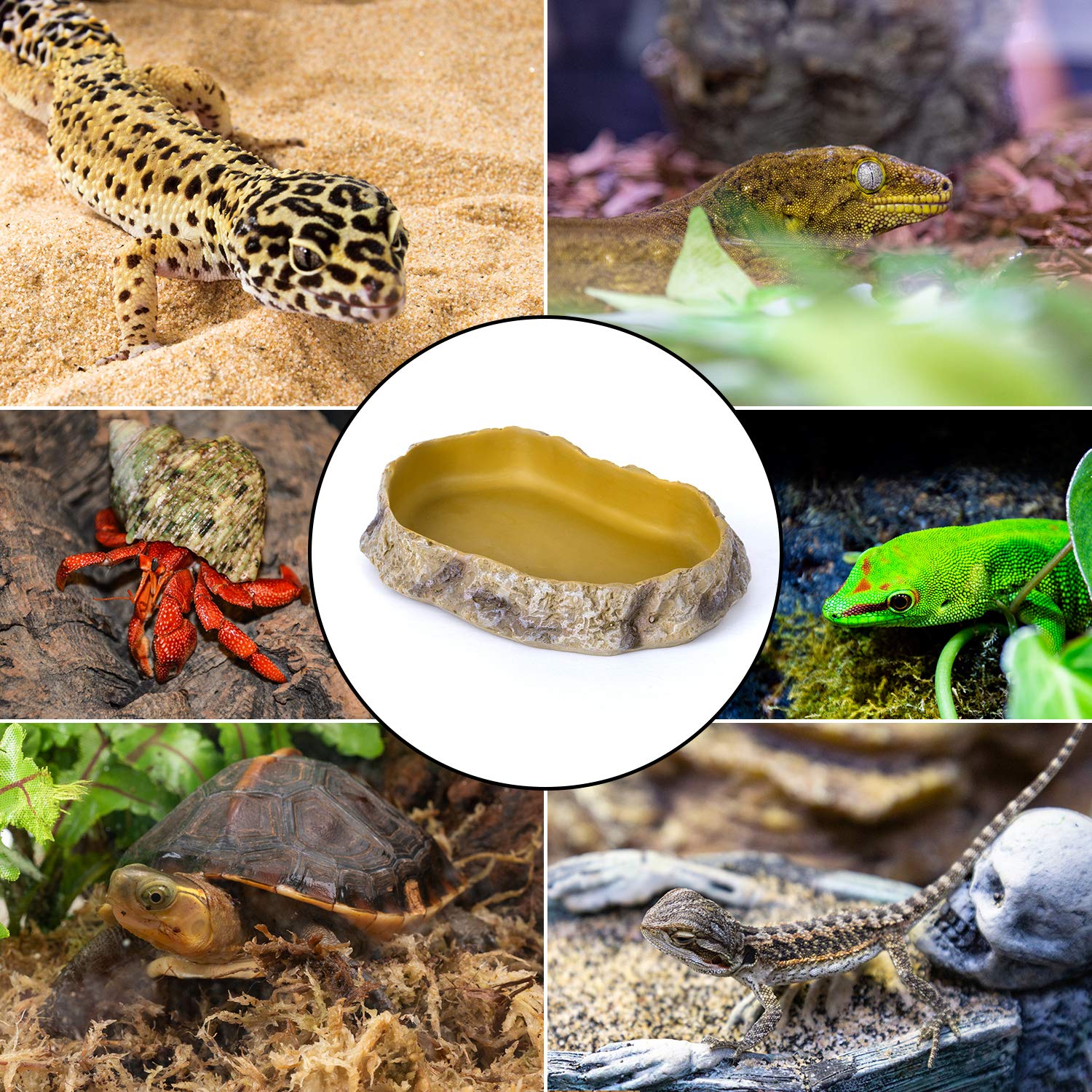 REPTIZOO environmentally friendly material for eco-conscious setups.