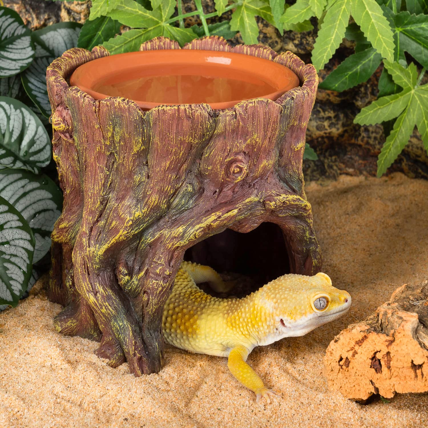 REPTIZOO interior space supports lounging and nesting with roomy chamber