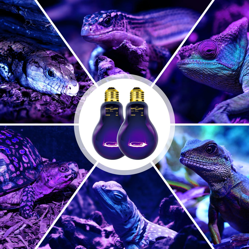 REPTIZOO lizard and iguana setup with 150W bulbs.
