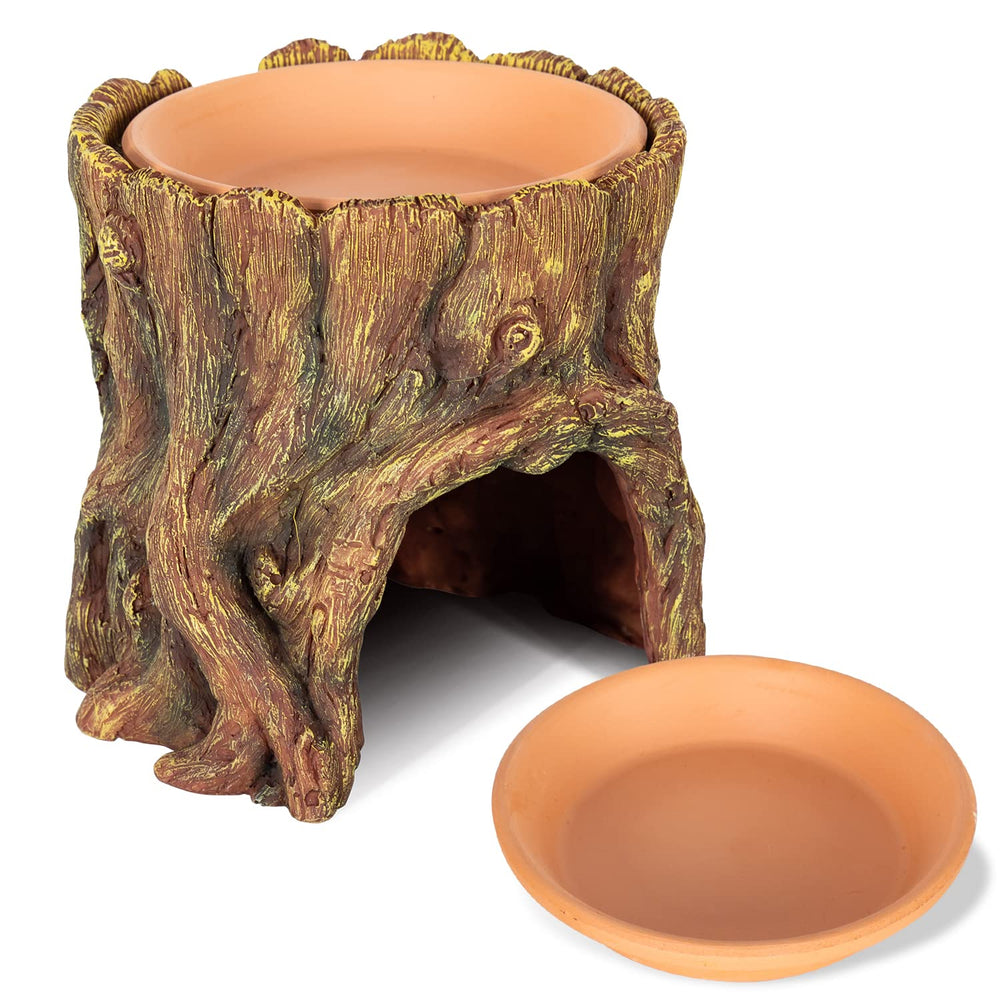 REPTIZOO natural terracotta surface enhances humidity release and ease of care