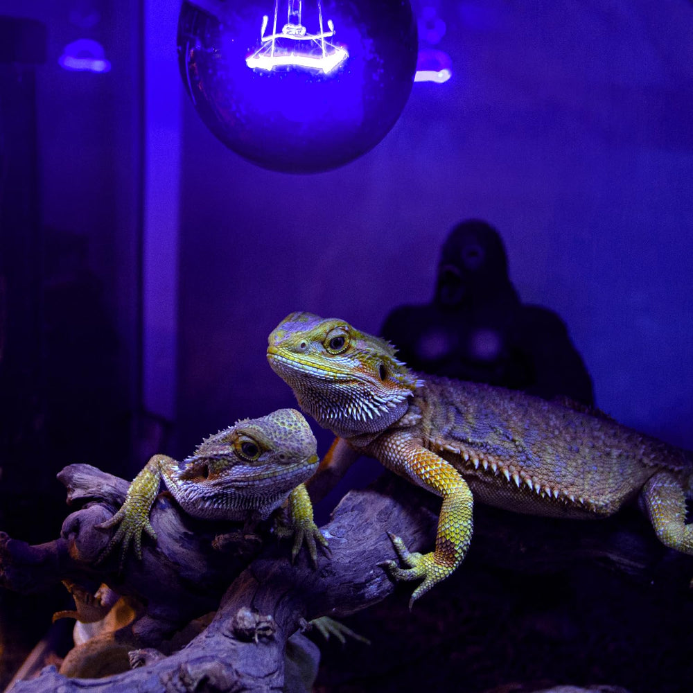REPTIZOO package includes two bulbs for quick setup.