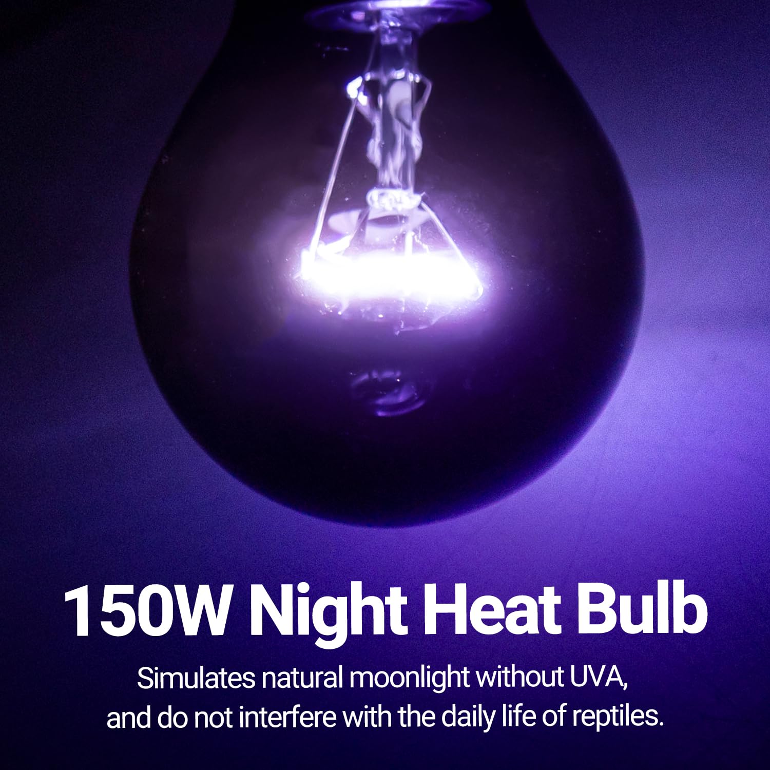 REPTIZOO purple-coated lamp casts a soft, non-intrusive glow.