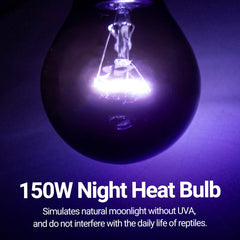 REPTIZOO purple-coated lamp casts a soft, non-intrusive glow.