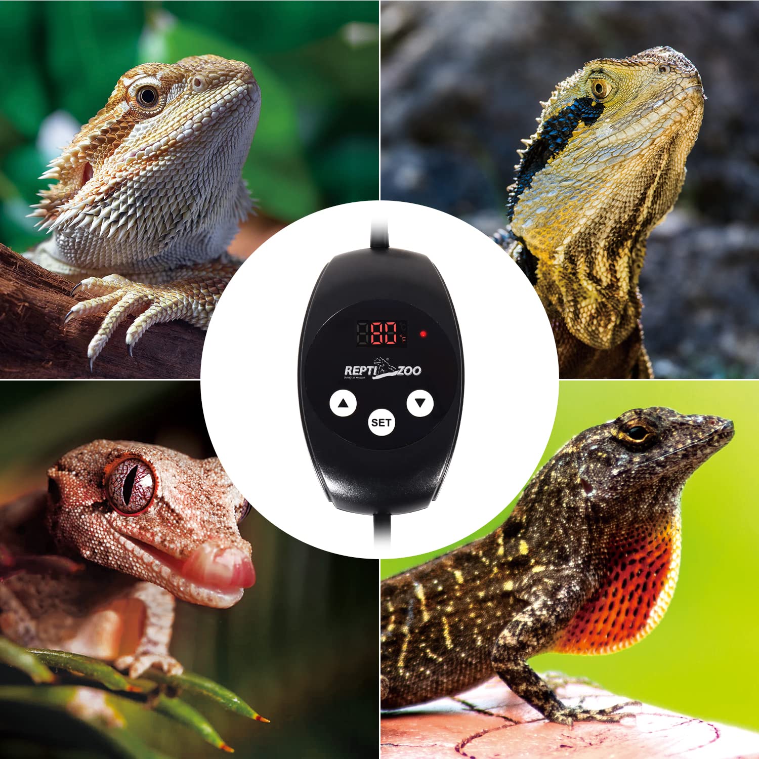 REPTIZOO safe operation highlights simple on/off and double-press control.