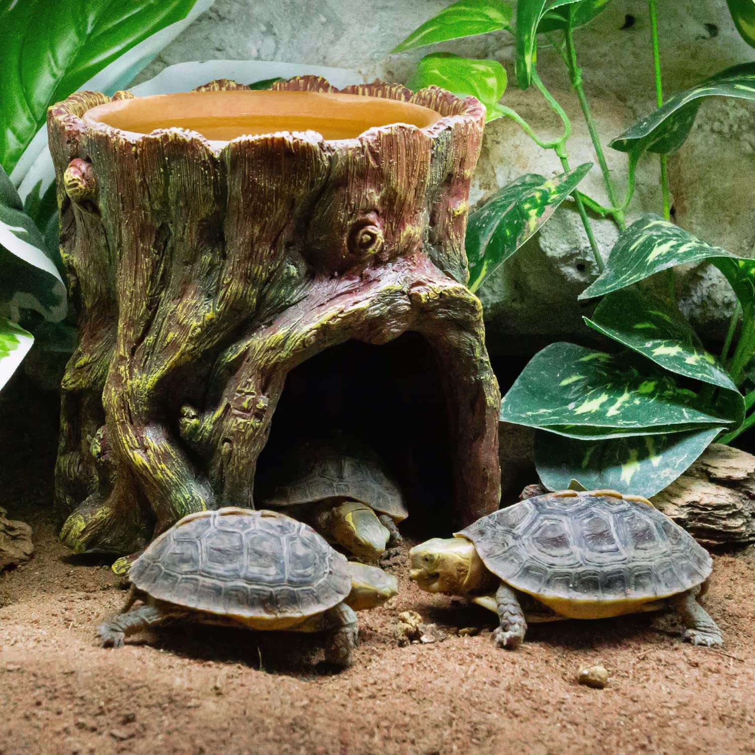 REPTIZOO spacious interior fosters comfortable hiding and retreat for small geckos