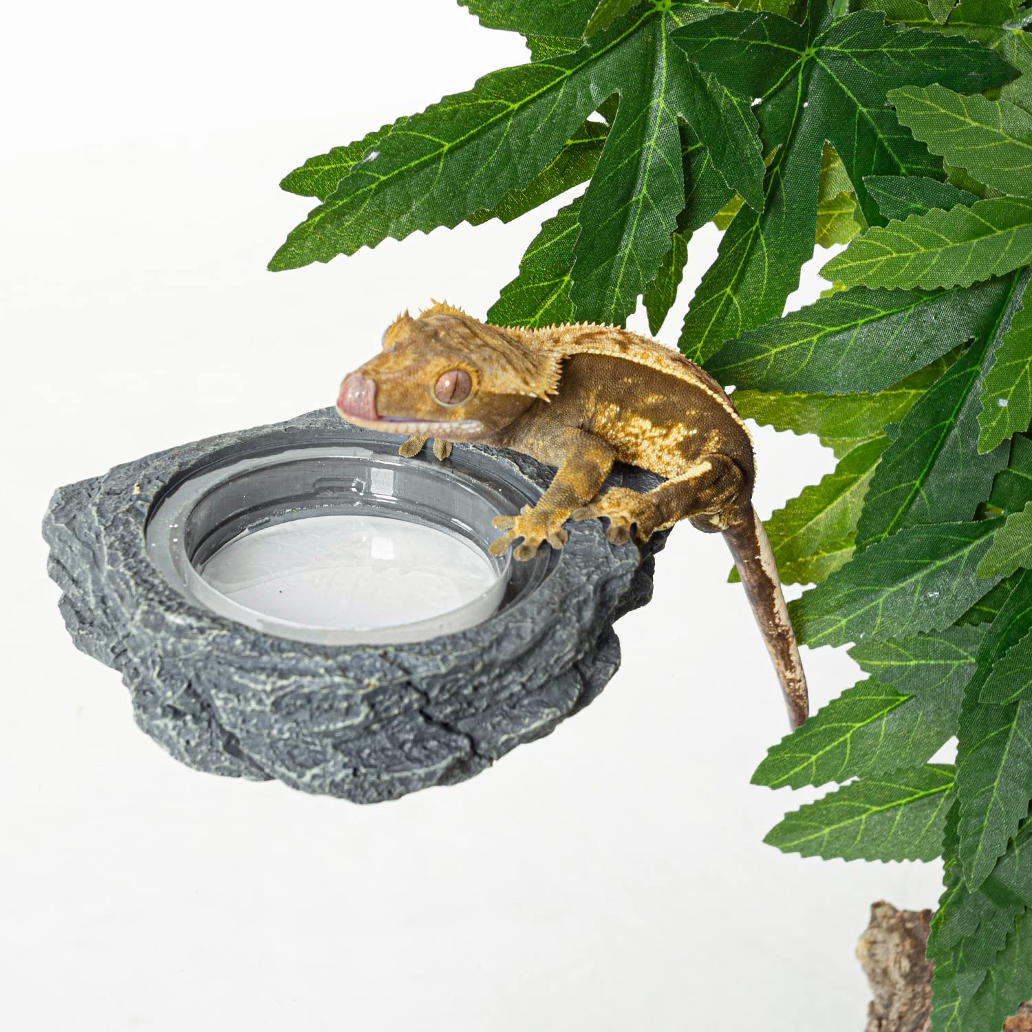 REPTIZOO perfect for geckos, lizards, and small reptiles.