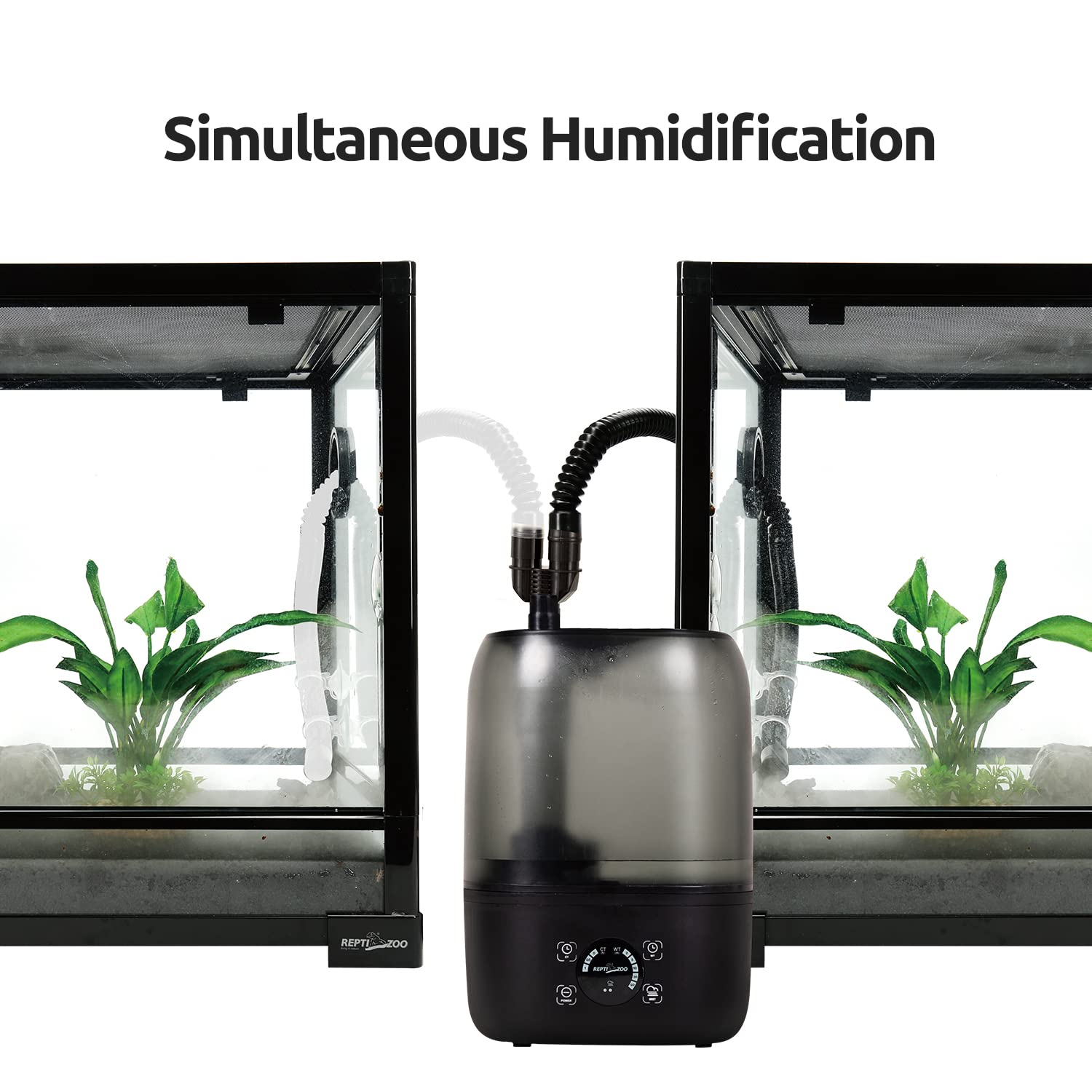 REPTIZOO terrarium mounting idea keeps setup tidy and stable.