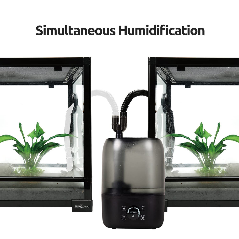REPTIZOO terrarium mounting idea keeps setup tidy and stable.