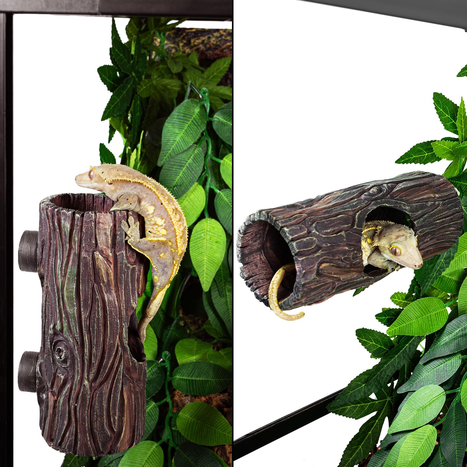 REPTIZOO terrarium enrichment supports natural activity and curiosity