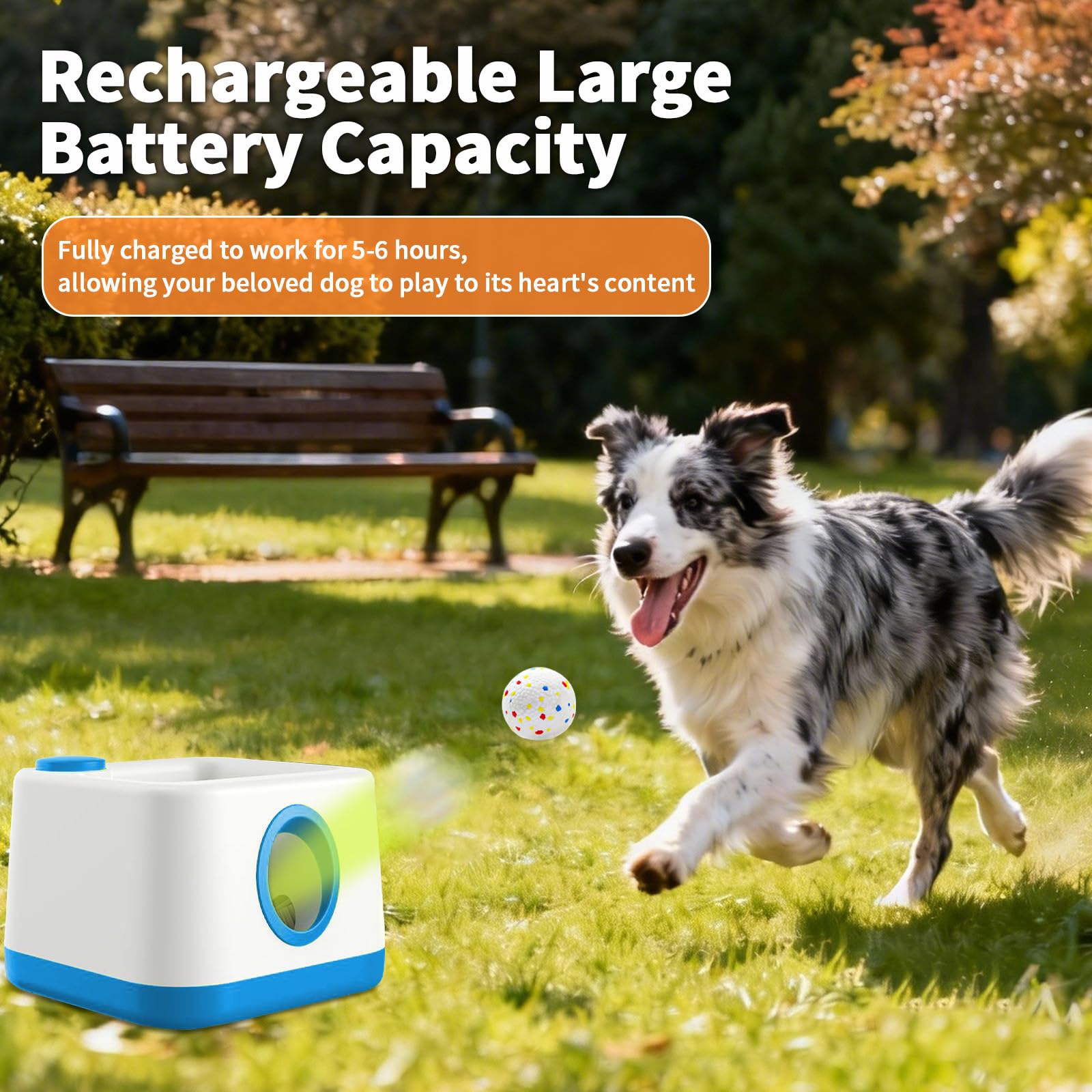 RERBIO all-dog-sizes safe design suitable for small to large dogs