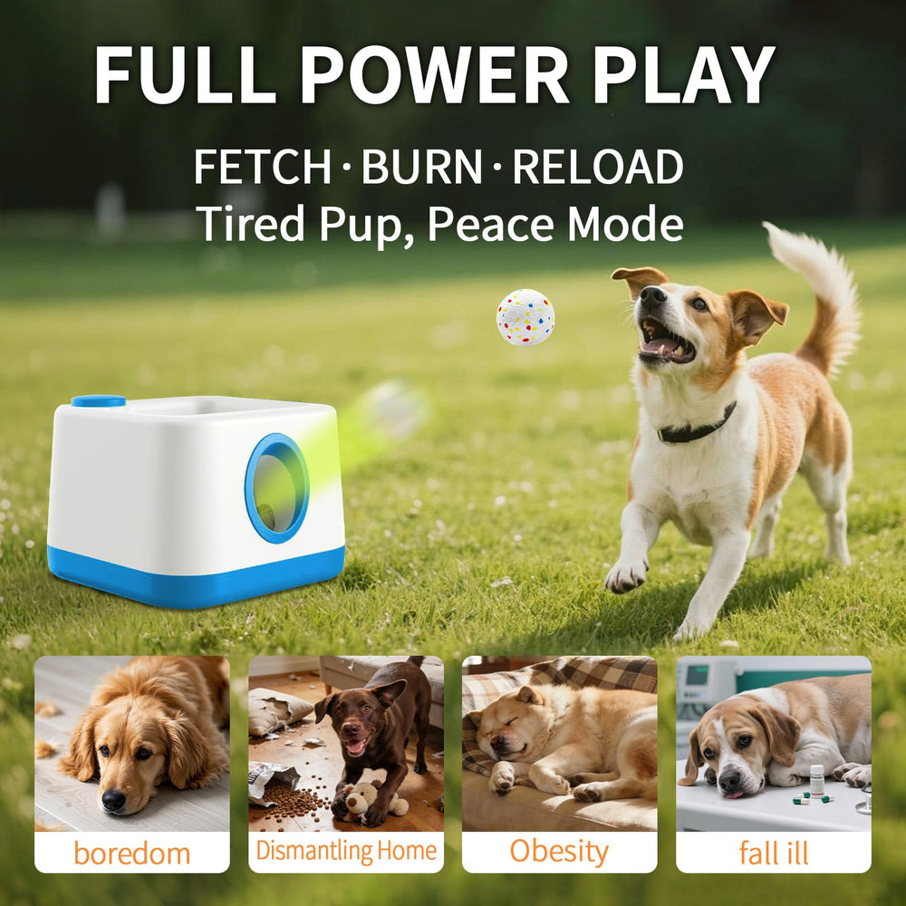 RERBIO paw-activation button highlight demonstrating self-triggered launches